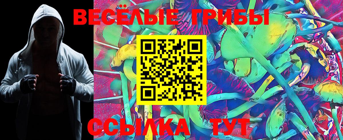 Белебей  Галлюциногенные грибы Cubensis  Псилоцибиновые грибы MAGIC MUSHROOMS  Вход с VPN 